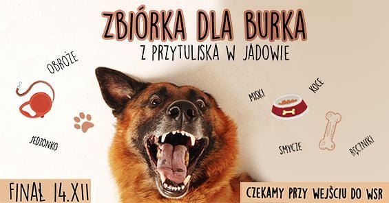 Zbiórka dla Burka - Szkoła Wizażu i Charakteryzacji SWiCh pomaga zwierzakom z Przytuliska w Jadowie